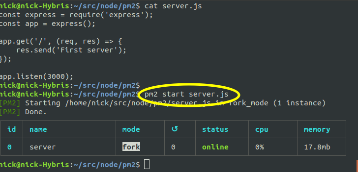 Starting a process with pm2