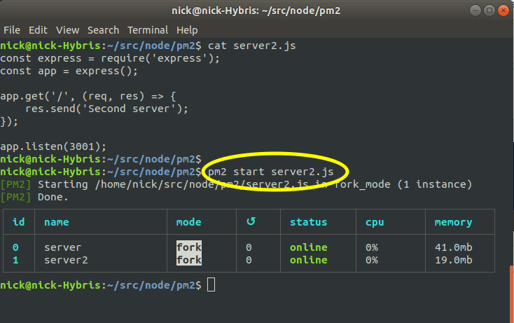 Starting a second process with pm2